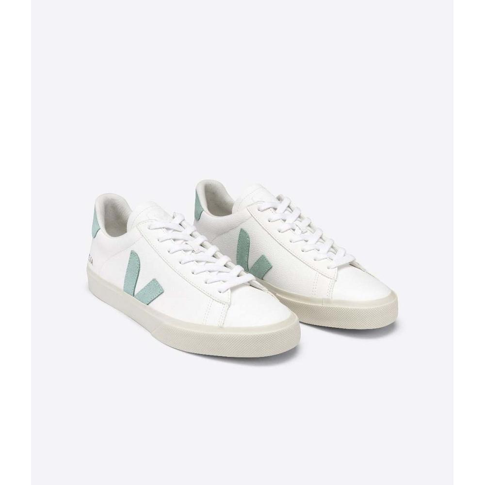 Veja CAMPO CHROMEFREE Low Tops Sneakers Heren White/Green | NL 196NWY